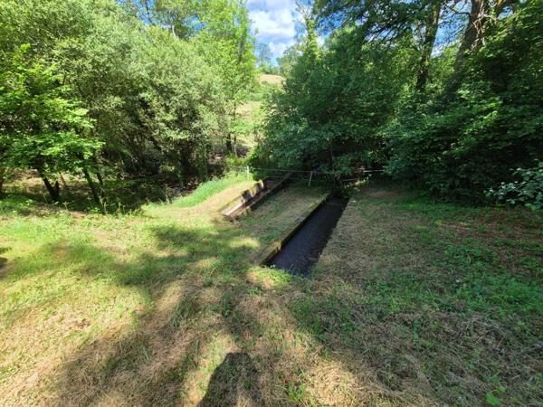 Deux beaux étangs, 6500 m2 d'eau pour pêche et loisirs sur un espace total de deux hectares de terrains