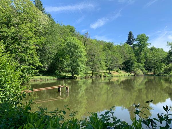 Deux beaux étangs, 6500 m2 d'eau pour pêche et loisirs sur un espace total de deux hectares de terrains