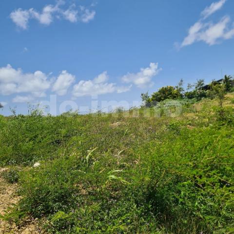Terrain 511m 2 SAINTE-ANNE