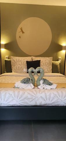 Maison à vendre La Plaine-des-Palmistes