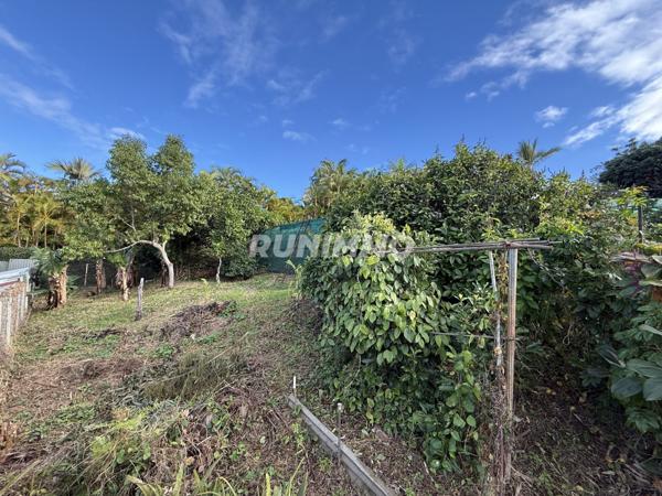 Maison Les Avirons 3 pièce(s) 84 m2