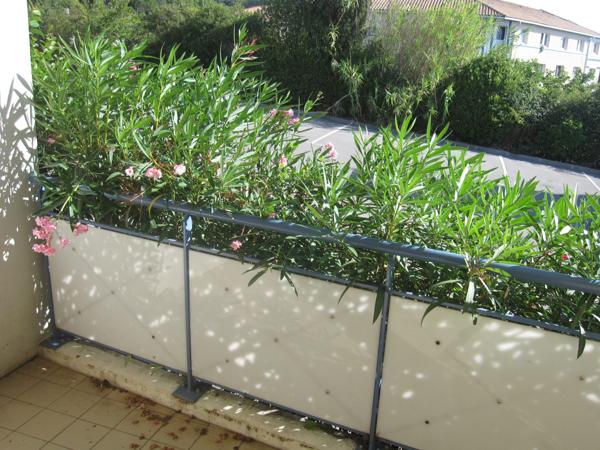 Grabels - T2 - 38,38m²