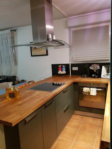 Appartement à louer à Rouen en Seine-Maritime (76100), ref : 2025L29   
JARDIN DES PLANTES