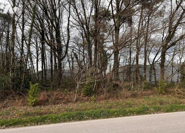 Terrain à bâtir Guer Morbihan 56