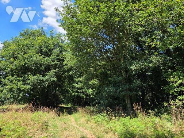 10 min. ST LEONARD-DES-BOIS (72) et 10 min. VILLAINES-LA-JUHEL (53), au calme, parcelle de terr...