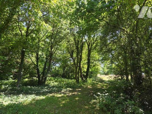 10 min. ST LEONARD-DES-BOIS (72) et 10 min. VILLAINES-LA-JUHEL (53), au calme, parcelle de terr...