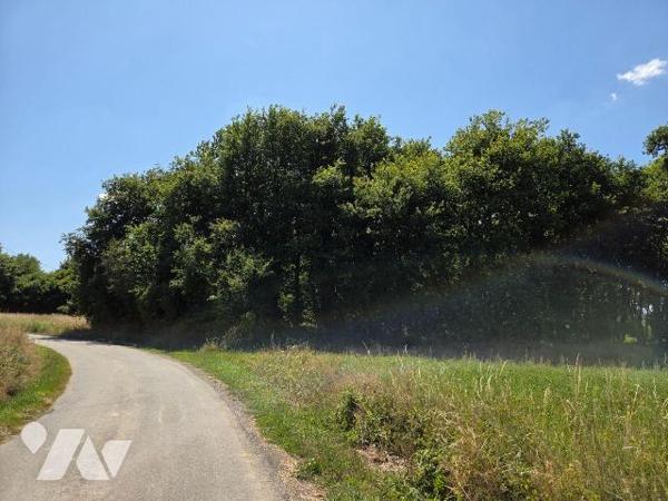 10 min. ST LEONARD-DES-BOIS (72) et 10 min. VILLAINES-LA-JUHEL (53), au calme, parcelle de terr...