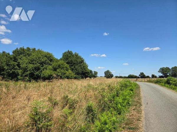 10 min. ST LEONARD-DES-BOIS (72) et 10 min. VILLAINES-LA-JUHEL (53), au calme, parcelle de terr...