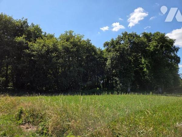 10 min. ST LEONARD-DES-BOIS (72) et 10 min. VILLAINES-LA-JUHEL (53), au calme, parcelle de terr...