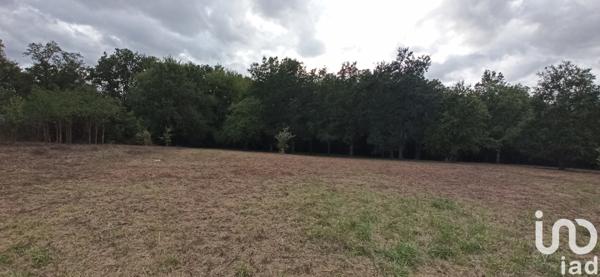Terrain à vendre 3 817 m² Valençay