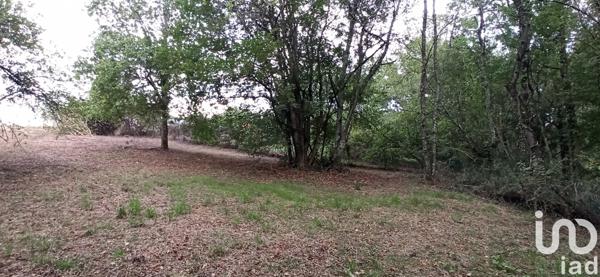 Terrain à vendre 3 817 m² Valençay