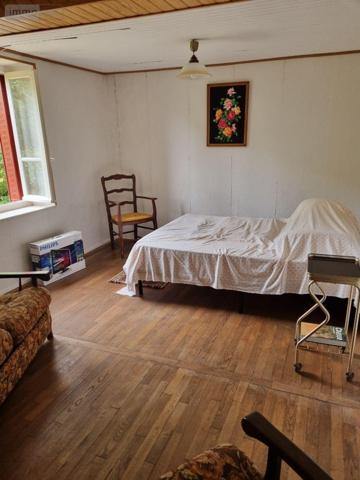 Maison à restaurer à vendre à Saint-Plantaire dans l'Indre (36190), ref : CG/271