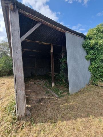 Maison à restaurer à vendre à Saint-Plantaire dans l'Indre (36190), ref : CG/271
