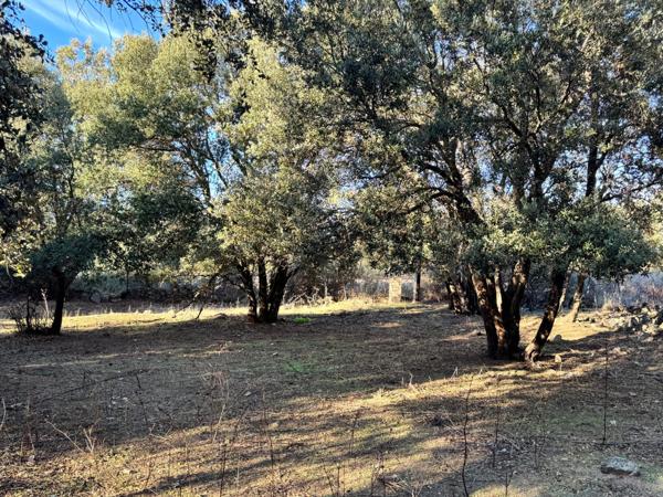 Terrain 3250 m2 avec batiment de 200m2 à vendre, proche de L'ILE ROUSSE (20)