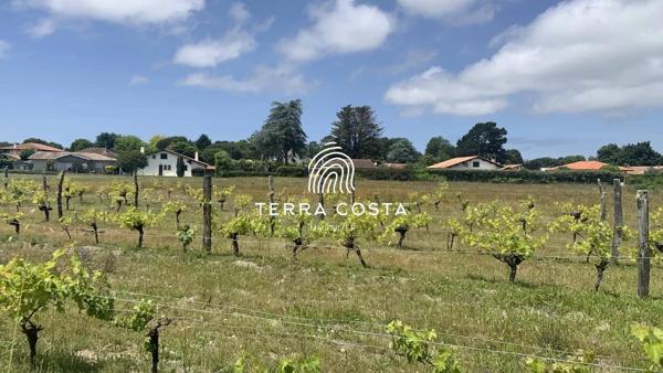 Terrain a batir proche  centre bourg