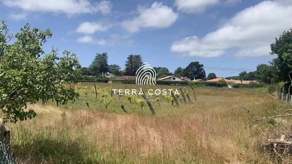 Terrain a batir proche  centre bourg