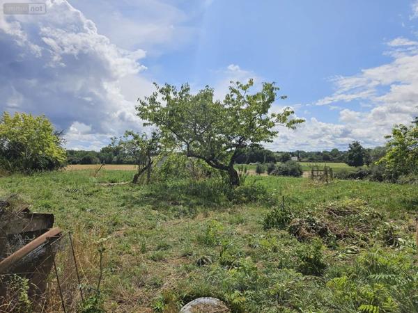 Maison à vendre à Mayet dans la Sarthe (72360), ref : 131967