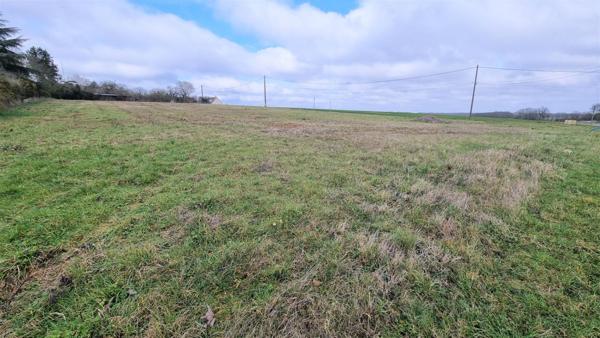 TREMBLAY-LES-VILLAGE - Beau terrain à bâtir de 959 m²