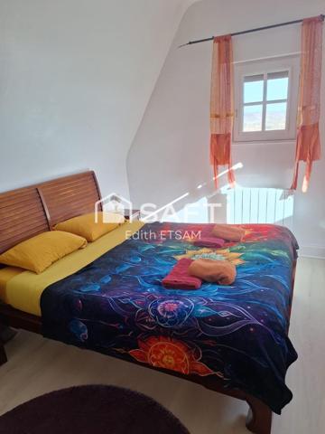 Maison 7 pièces 295 m²