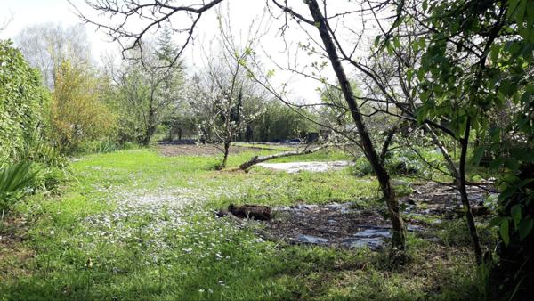 Maison 4 pièces à vendre Thuré - 86540 / Réf: 11711