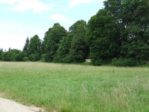 Superbe terrain à bâtir de 2538 M2 !