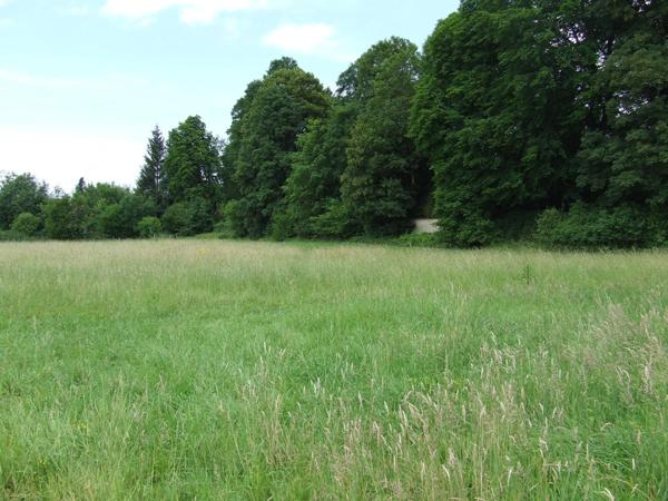 Superbe terrain à bâtir de 2538 M2 !