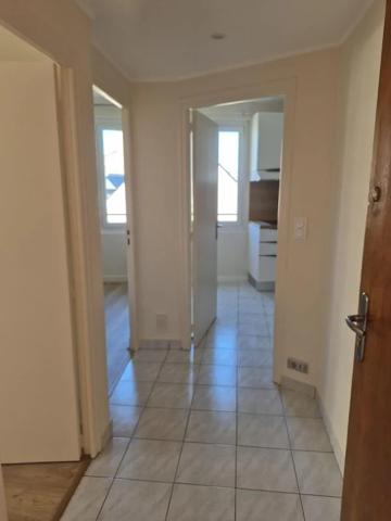 Appartement à louer à Rodez (12000)