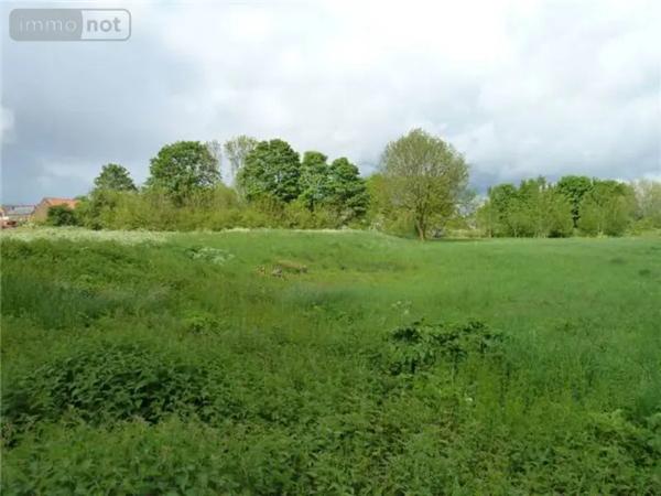 Achat - Terrain à bâtir Séranvillers-Forenville 59400 840 m 2