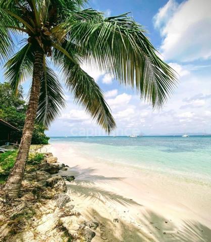 A 200 METRES DES PLAGES,STUDIO MEUBLE RDC SAINTE ANNE (972)