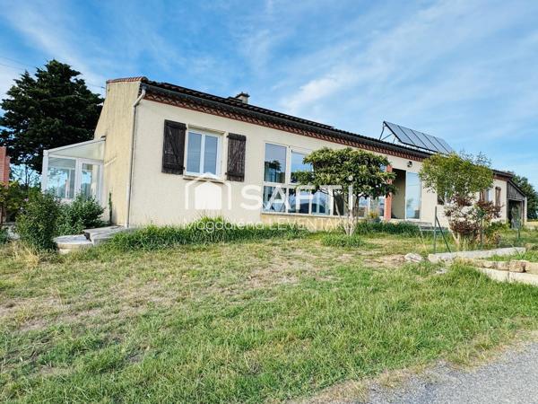 Bien rare sur les hauteurs de Belpech