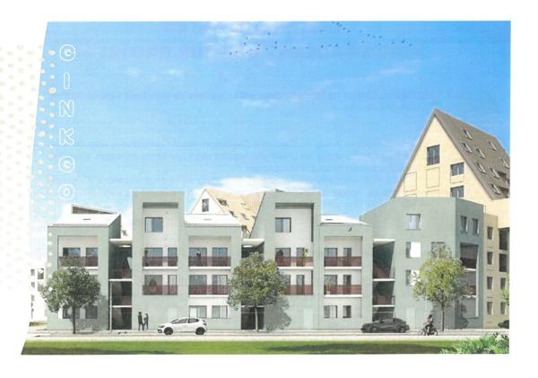 DIJON CHICAGO: APPARTEMENT DUPLEX 1 CHAMBRE - PARKING