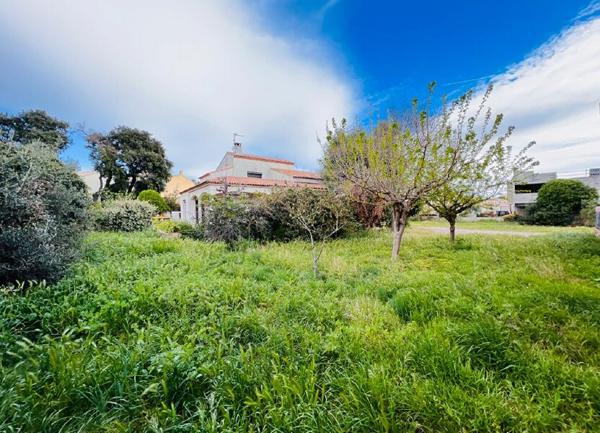 Terrain à vendre    Frontignan