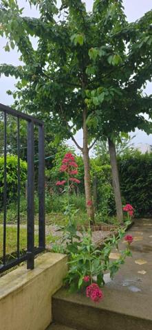 Maison LE MANS LES MAILLETS  87 M2 GARAGE JARDIN
