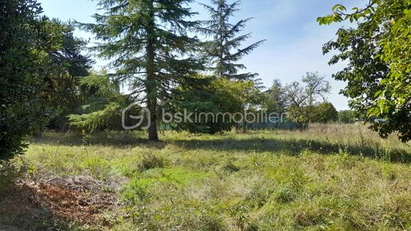 Terrain de 1 069 m²