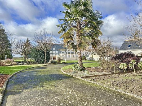 Maison 10 pièces - 184 m²