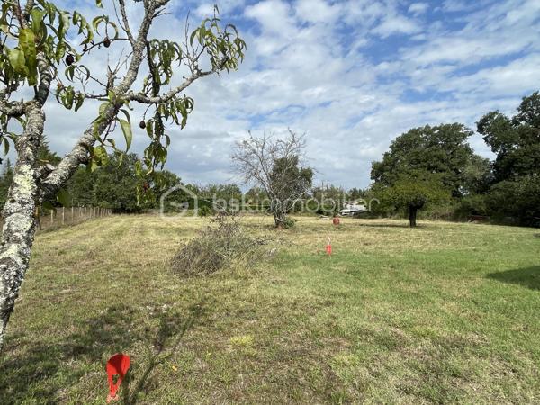Terrain de 900 m²