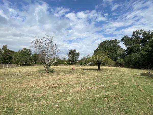 Terrain de 900 m²