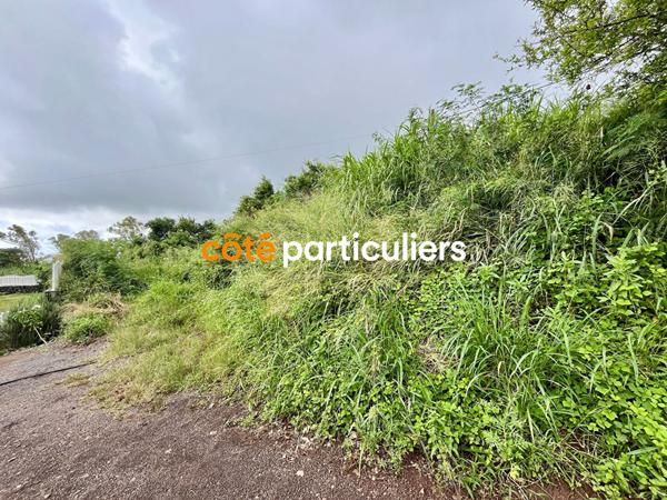 Vente Terrain1831 m² - SAINT LEU (97424)