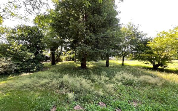 Terrain à vendre    Louer