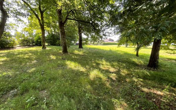 Terrain à vendre    Louer