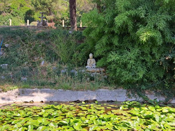 VIVRE EN PLEINE NATURE A PROXIMITE DES COMMODITES