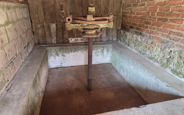 Maison à louer    5 pièces •  Saugnac-et-Cambran