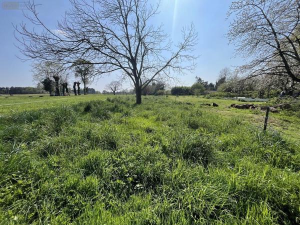 Maison à vendre à Taupont dans le Morbihan (56800), ref : VM3329-56044