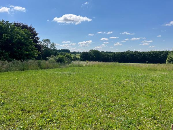 NANTILLE terrain à construire, 9km de St JEAN D'ANGELY