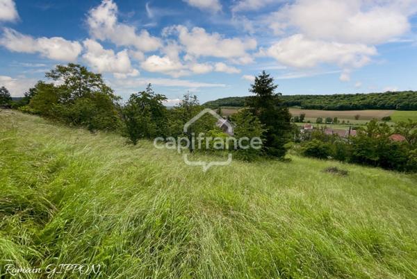Dpt Meurthe et Moselle (54), à vendre VANNES-LE-CHATEL maison P5