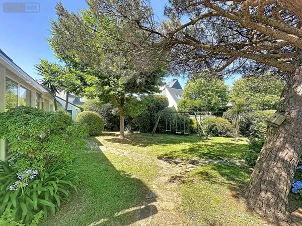 Achat - Maison Larmor-Plage 56260 8 pièces 230 m 2 894 m 2