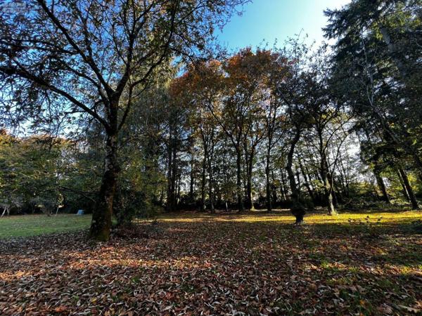 Maison à vendre à Scaër dans le Finistère (29390), ref : 29122-1585