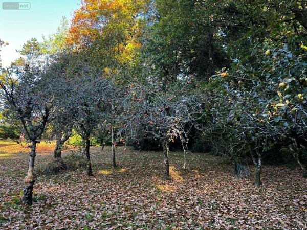 Maison à vendre à Scaër dans le Finistère (29390), ref : 29122-1585