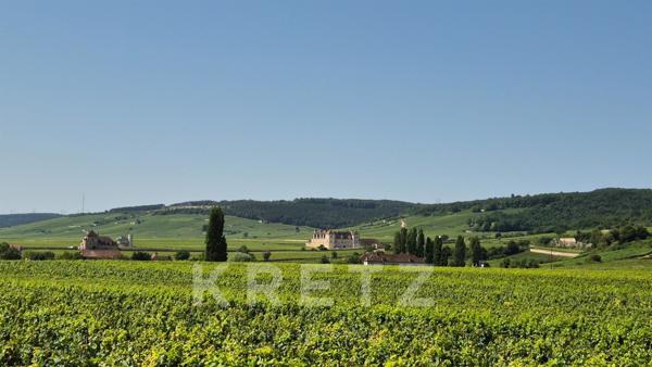 Immeuble d'exception au coeur du village de Vougeot (Bourgogne), prestigieux terroir viticole
