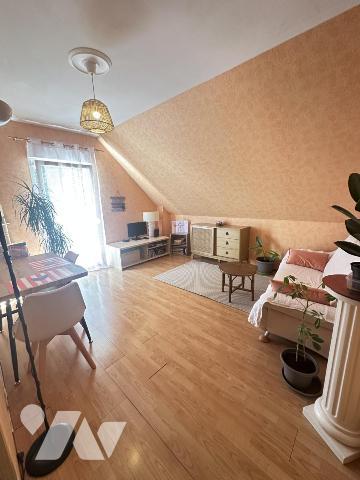 Vente Maison à Habsheim